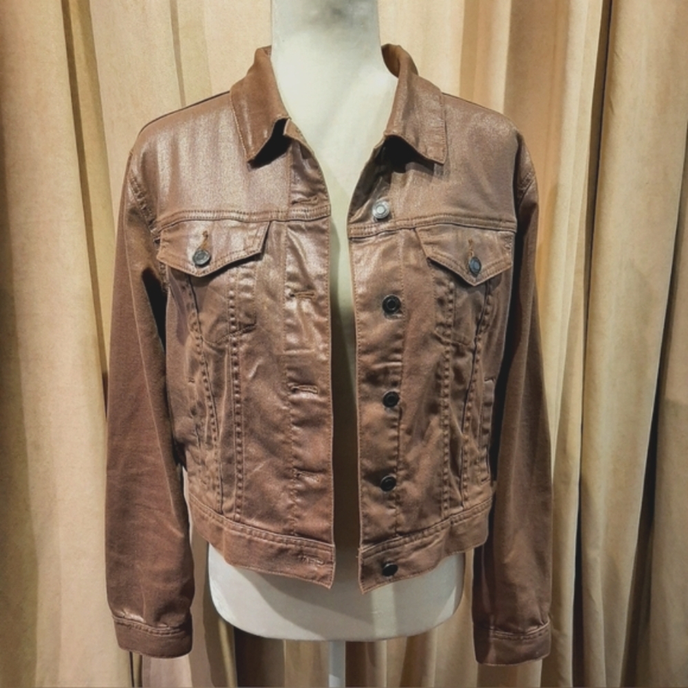 Lands' End Jacket - image 1